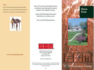 Horse Farm brochure