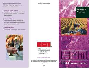 Winery & Vineyard brochure